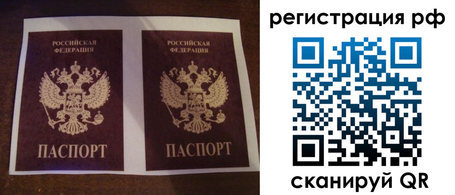 временная регистрация гарантия в Камчатском крае